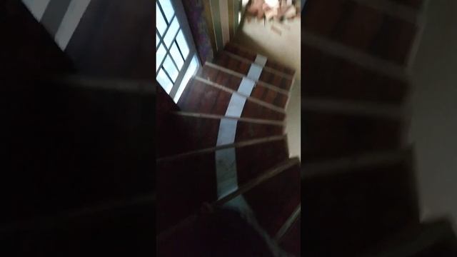 stair#pvc#penelling смотреть онлайн