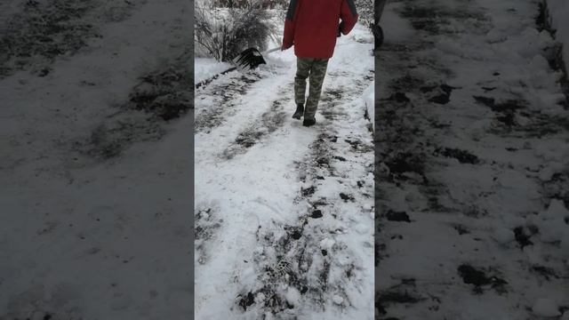 уборка снега 😃 смотреть онлайн