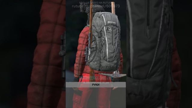 Я поймал лису. DayZ. Renascence [RU] PVE. #СталкерБаннерщик #DayZ смотреть онлайн