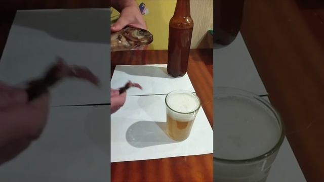 2_5294058078679882978.MOV