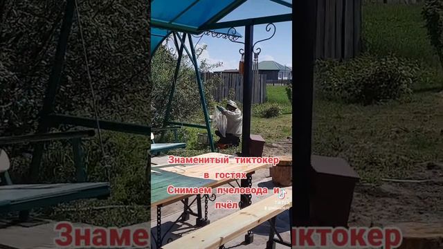 Не только пчёлы в гостях сегодня у меня , но и известный блогер. смотреть онлайн