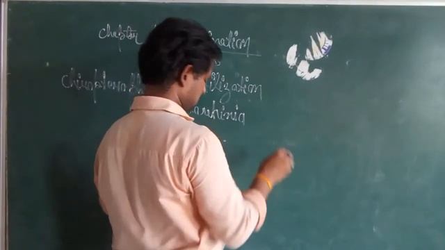 CLASS 9 , BIOLOGY , CHAPTER 4 , POLLINATION AND FERTILIZATION смотреть онлайн