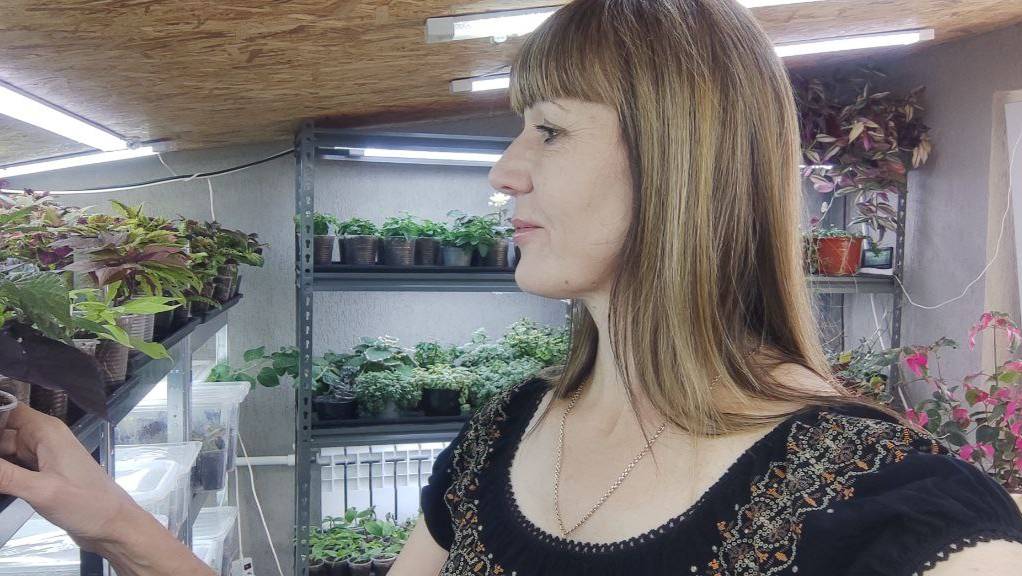 Какие лампы выбрать для подсветки цветов и рассады зимой. Делюсь опытом. Бюджетный вариант. смотреть онлайн