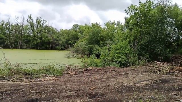 обзор пруда,расчистка участка. смотреть онлайн