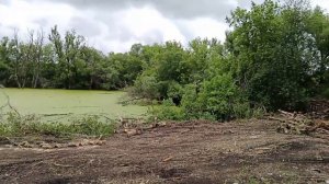 обзор пруда,расчистка участка.