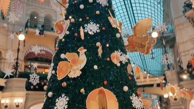 Едем в Москву