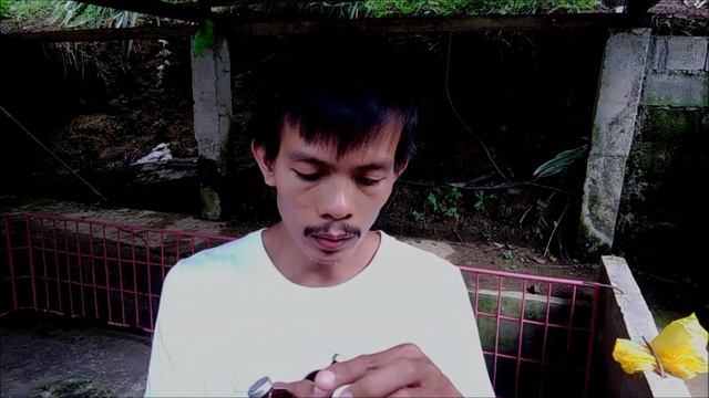 [Part2] Dosage And Administration, Withdrawal Period, Storage Conditions, Indication Etc.