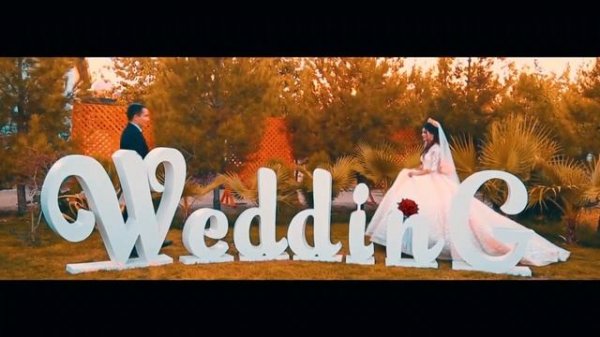 wedding day (Свадьба)(Туй)