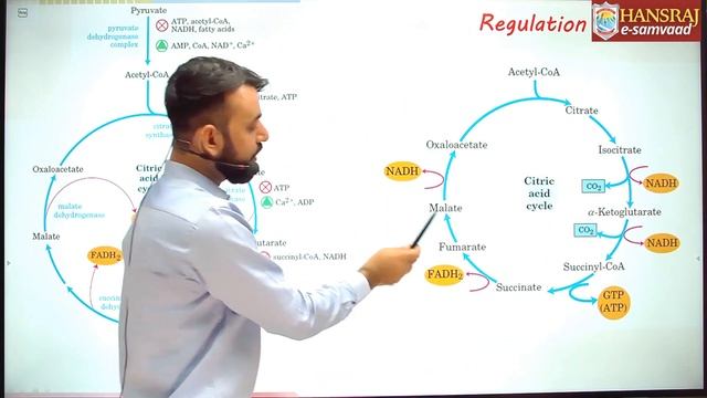 AEROBIC RESPIRATION AT CELLULAR LEVEL | HANSRAJ E-SAMVAAD | DR. AMIT | смотреть онлайн