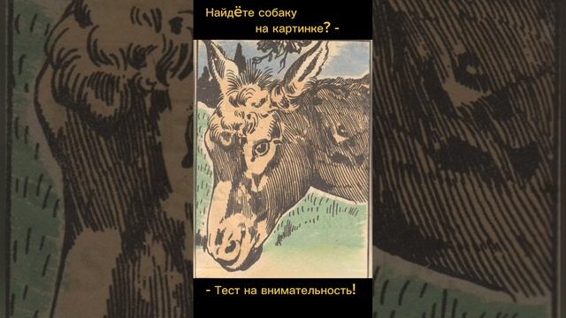 Тест на внимательность смотреть онлайн