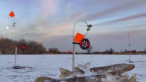 С ЖЕРЛИЦАМИ НА ПЕРВЫЙ ЛЁД 2024! ЭХОЛОТ Calypso КИШИТ ОТ РЫБЫ! Рыбалка на жерлицы, балансиры