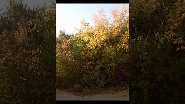 осень