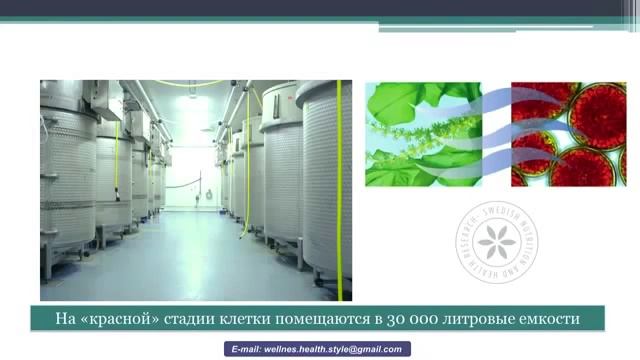 Уникальные факты об Астаксантине Что такое астаксантин от Орифлэйм