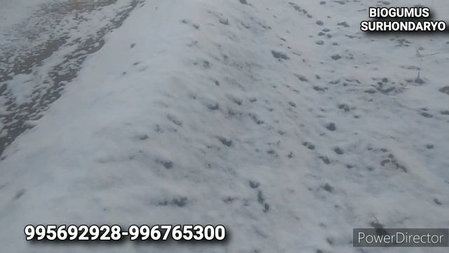 QORDA QOLGAN CHUVALCHANGLAR/BIOGUMUS BIZNES@biogumussurhondaryo8743 смотреть онлайн