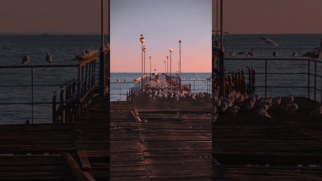 Чайки, Сухум, Абхазия. смотреть онлайн