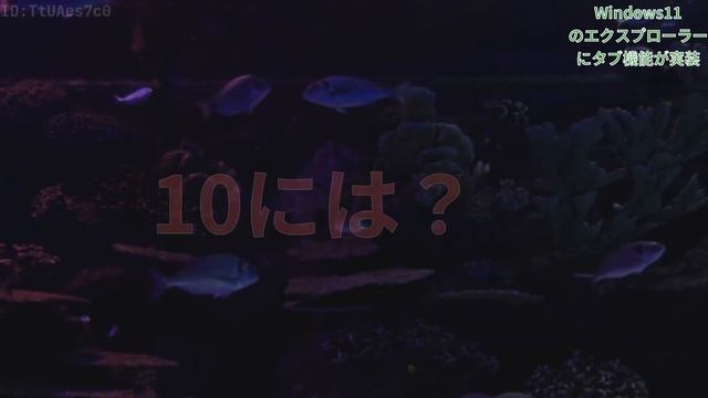 【2ch】Windows11のエクスプローラーにタブ機能が実装 смотреть онлайн