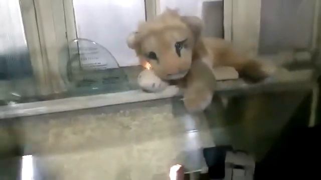 VICTOR QL-Y33F turntable to sansui au 207 amplifier смотреть онлайн