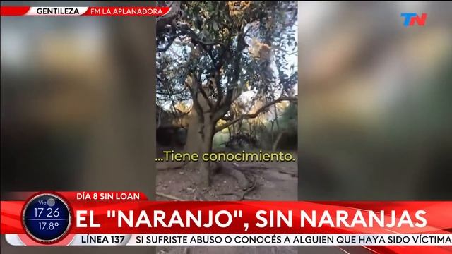 CASO LOAN: Con los tres detenidos, la Justicia recrea los últimos pasos de Loan смотреть онлайн