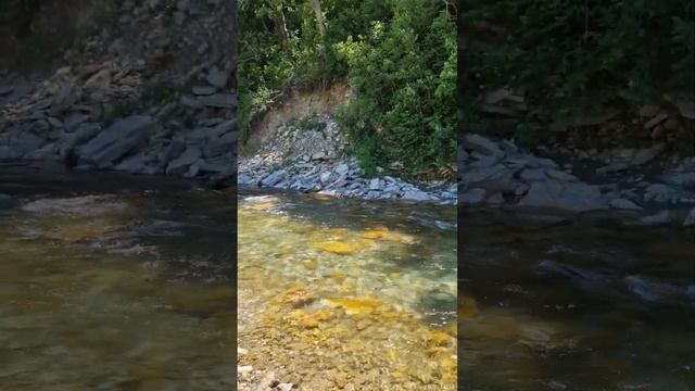 #горы #красотамира #адыгея #белаярека #вдохновение #любовь смотреть онлайн