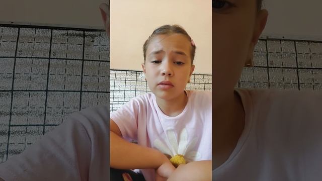 21 июня 2024 г. смотреть онлайн