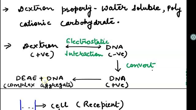 DEXTRON MEDIATED GENE TRANSFER смотреть онлайн