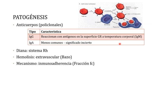 Anemia Hemolítica 4ta parte смотреть онлайн