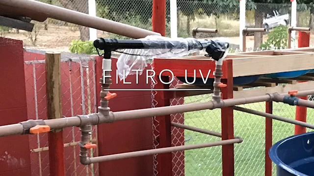 Uso do filtro UV no Sistema de criação de tilápias em caixas d’água смотреть онлайн