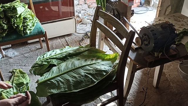 Как понизить крепость смотреть онлайн