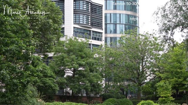 Tamron 50-300mm F4.5-6.3 Di III VC VXD on Sony A7RV смотреть онлайн