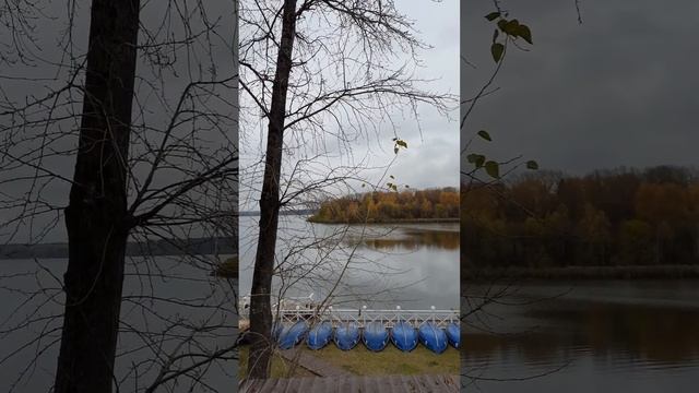 🍁Осеннее озеро Сенеж ⛵🍁 смотреть онлайн