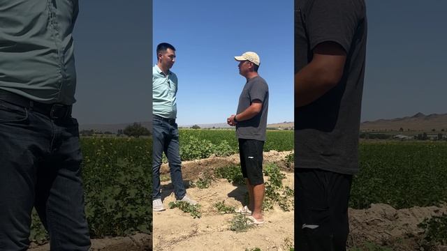 Жер алдынагы сууну пайдалануу жолдору. Талас обл., Айтматов р-ну. смотреть онлайн