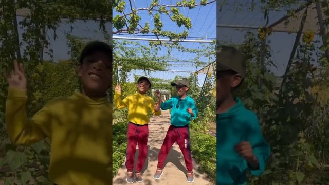 Mazaara Farm Shop | Abu Dhabi Organic Farms (Mazaraa) | @mazaraacafe | @mazaraakitchen | #kids смотреть онлайн