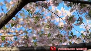 ЭНГ САРА ТЕРМА ХАЁТИЙ КУШИКЛАР КУРБОН ХАМДАМОВ.