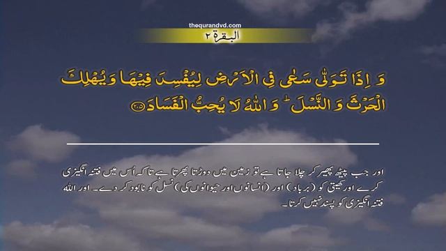 Al Baqarah 002 [205] HD Quran tilawat Recitation Learning word by word Surah 1 - Chapter 1 смотреть онлайн