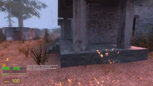 Selene Delgado Lopez