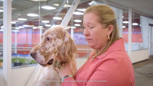 Michelle Hess, Breeder, Owner & Handler On Why She Trusts Purina® Pro Plan® смотреть онлайн