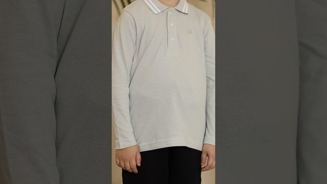 Поло с длинным рукавом для мальчика AB-2228 grey смотреть онлайн