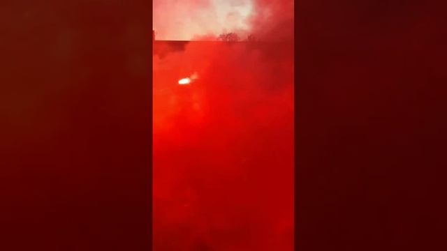 5106568400821266920 смотреть онлайн