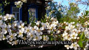 Под окном широким