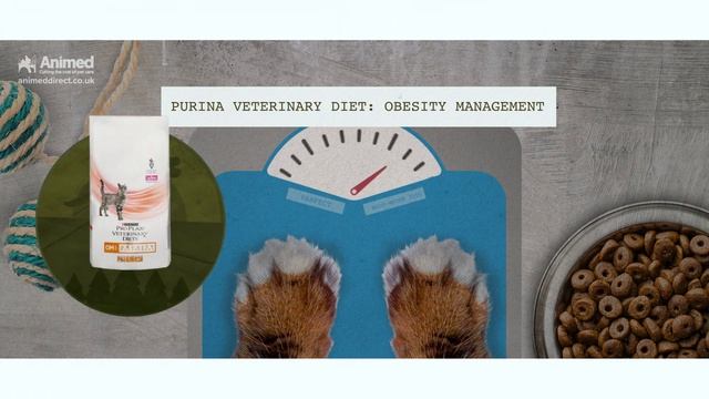 Professionals - Cats смотреть онлайн