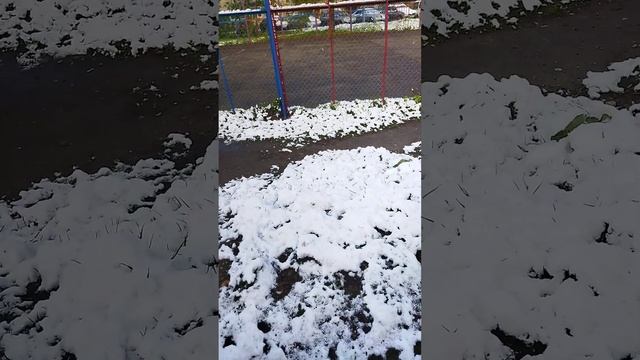 А вы говорите не май месяц?! Май! #дача #погода #заморозки #Russia смотреть онлайн