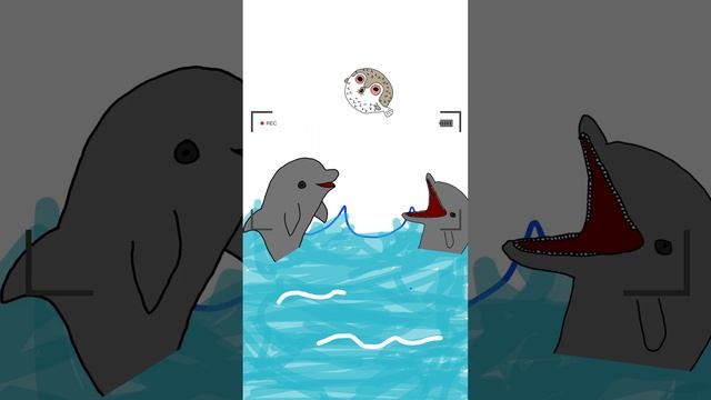 Dolphins Consume Pufferfish Poison for Fun | 2024 #explainervideo смотреть онлайн