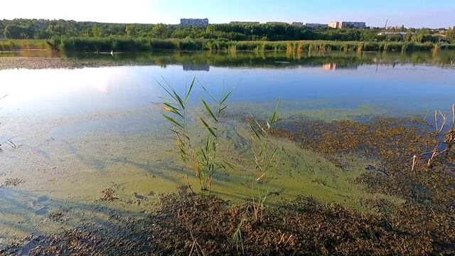 Славянск. 25 июля 2024г. Вечер. смотреть онлайн