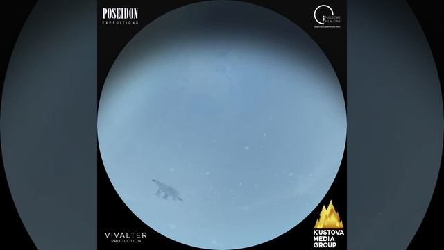 Наш Северный Полюс (2017)