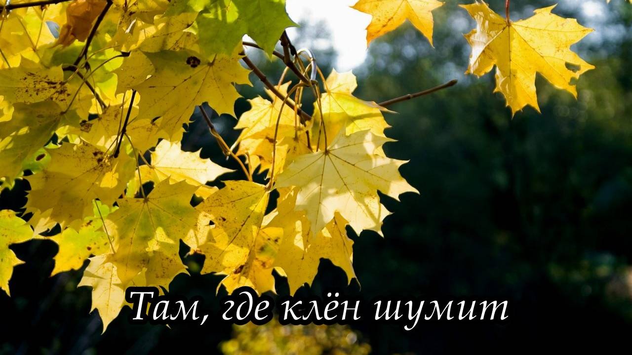 Там, где клён шумит смотреть онлайн
