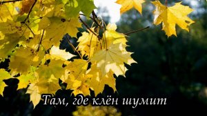 Там, где клён шумит
