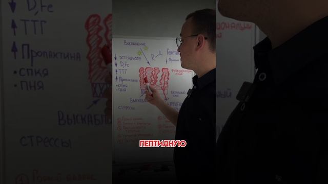 РОСТ ЭНДОМЕТРИЯ смотреть онлайн