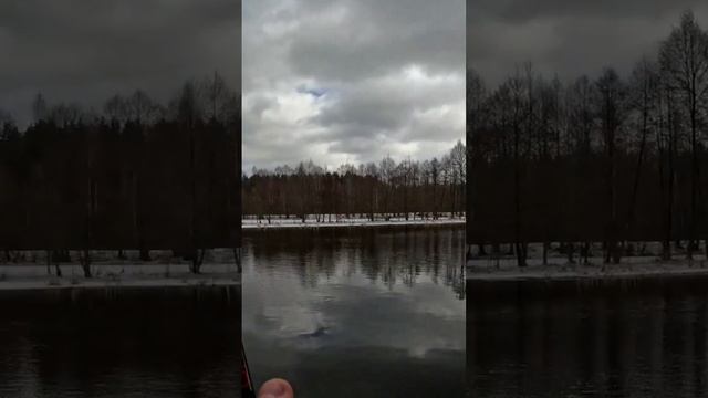 под водой лес! судак! #fishing #рыбалка #судак #spinning смотреть онлайн