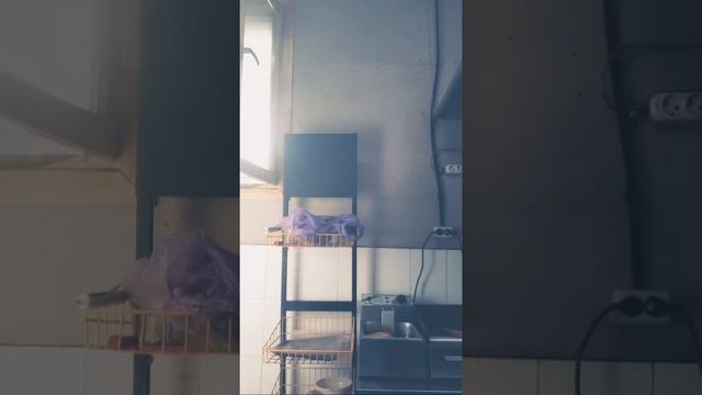 СУБХ БА ХАЙР БАРОДАРОИ ГАРИБ смотреть онлайн