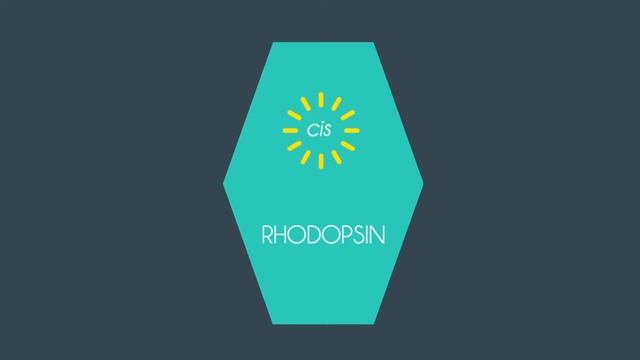 Rhodopsin смотреть онлайн